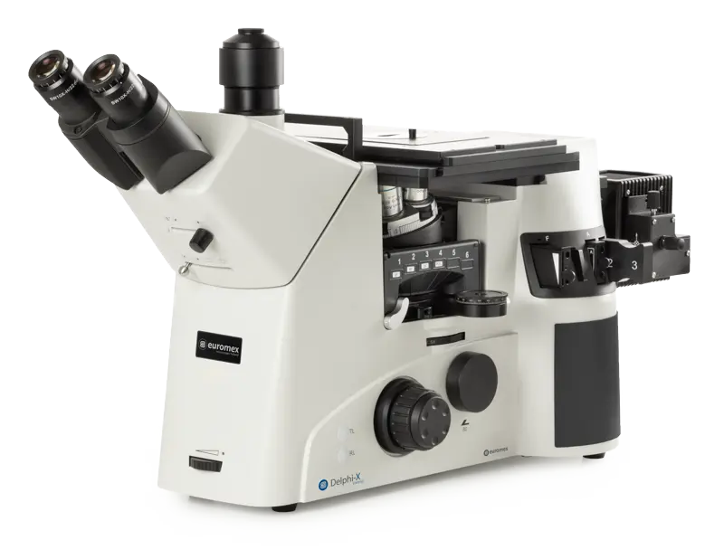 Euromex Delphi-X Inverso (Metallurgical) Series — Inverted Microscopes
