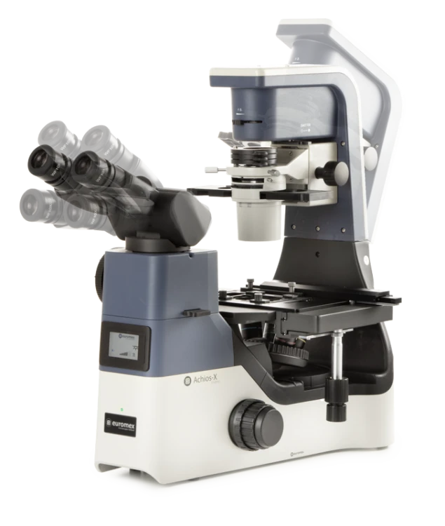 Euromex — Inverted Microscopes