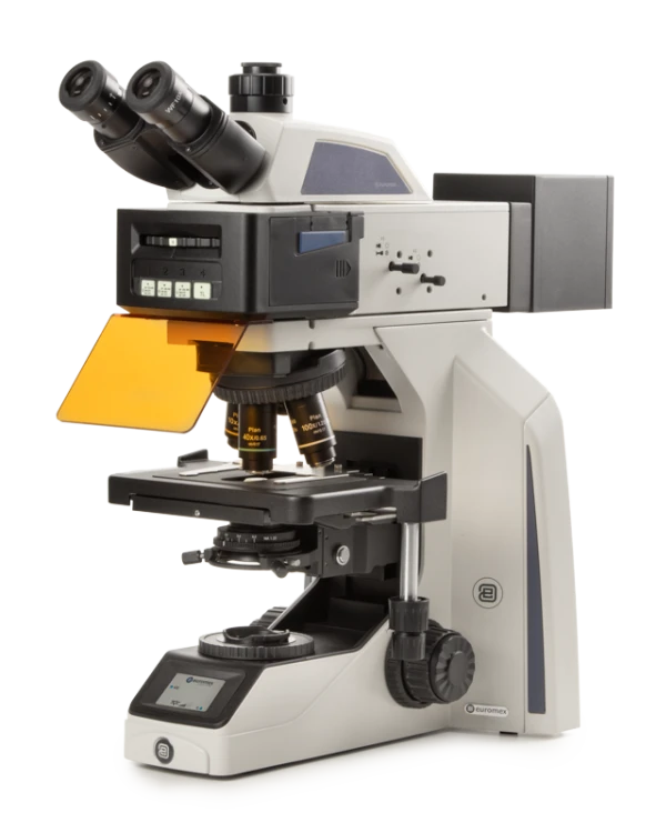 Euromex Achios-X Observer Fluorescence Series — Upright Microscopes