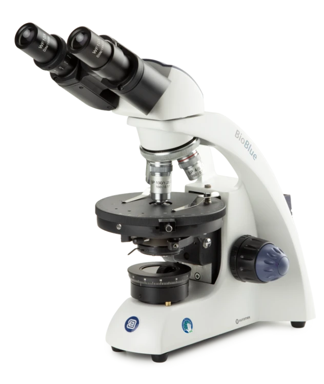 Euromex BioBlue Series — Upright Microscopes