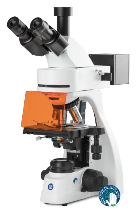 Euromex bScope Fluorescence Series — Upright Microscopes