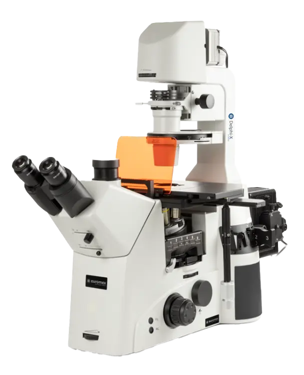 Euromex Delphi-X Inverso Fluorescence Series — Inverted Microscopes