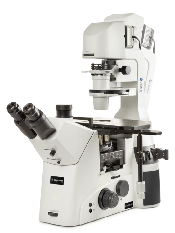 Euromex Delphi-X Inverso Series — Inverted Microscopes