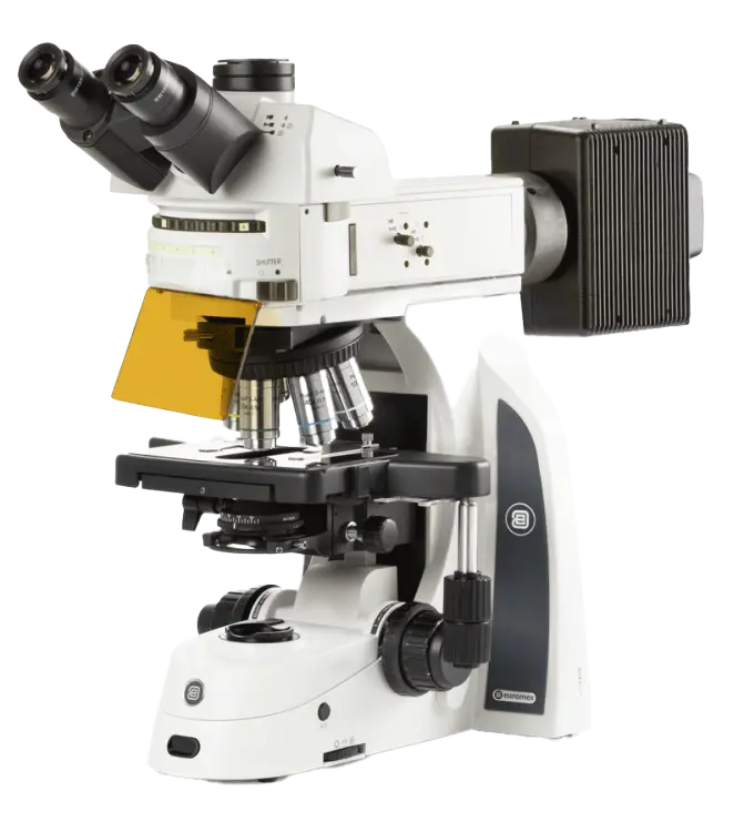 Euromex Delphi-X Observer Fluorescence Series — Upright Microscopes