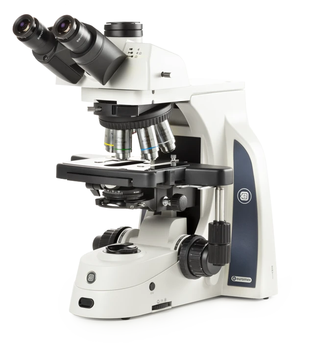 Euromex Delphi-X Observer Series — Upright Microscopes