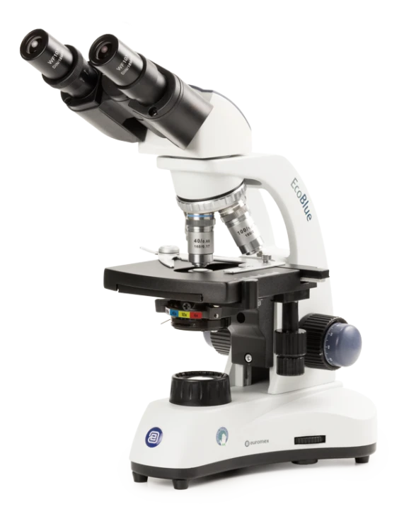 Euromex EcoBlue Series — Upright Microscopes
