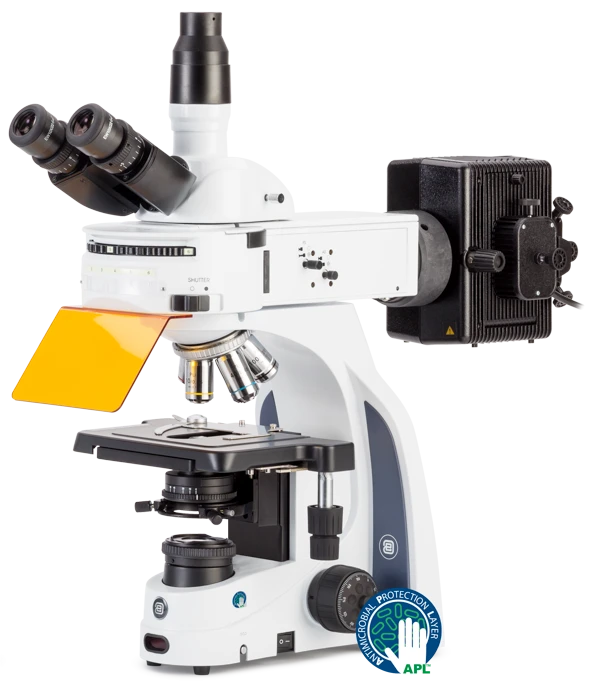 Euromex iScope Fluorescence Series — Upright Microscopes