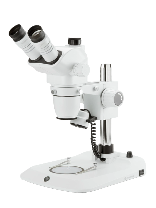 Euromex NexiusZoom ESD Series — Stereo Microscopes