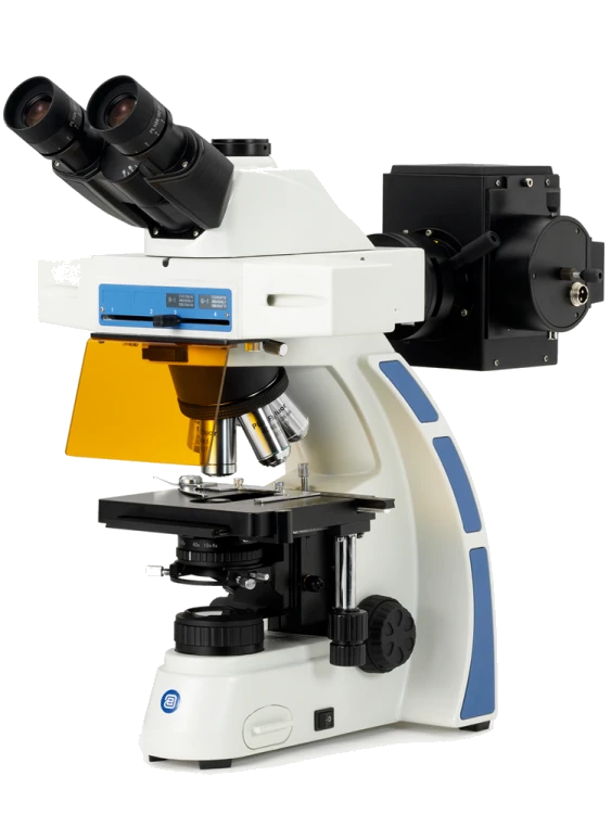 Euromex Oxion Fluorescence Series — Upright Microscopes