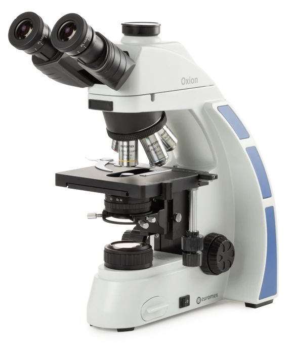 Euromex Oxion Series — Upright Microscopes