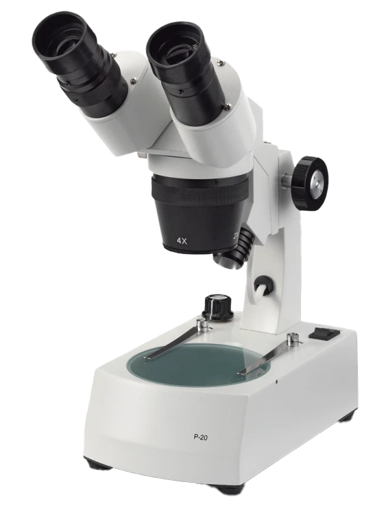 Euromex P Series — Stereo Microscopes