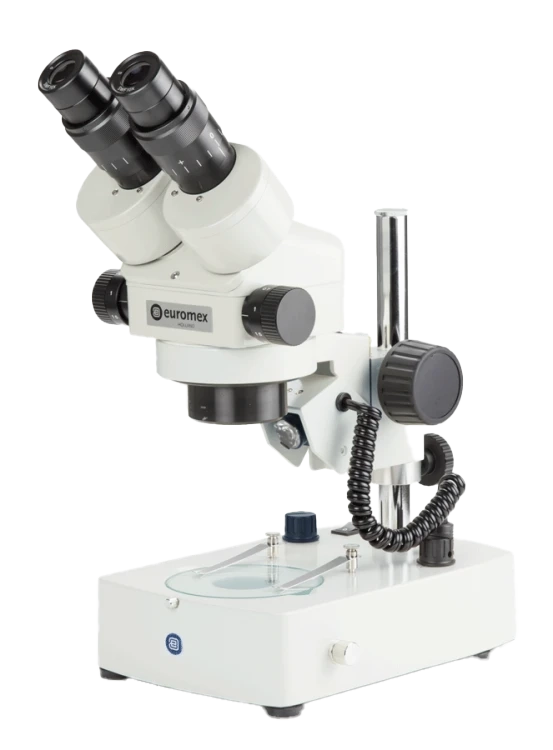 Euromex Z Series — Stereo Microscopes