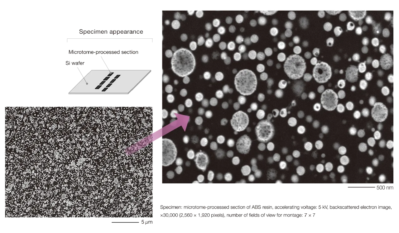 ABS resin observation at low accelerating voltage, with low-vacuum function, and ultra-low magnification