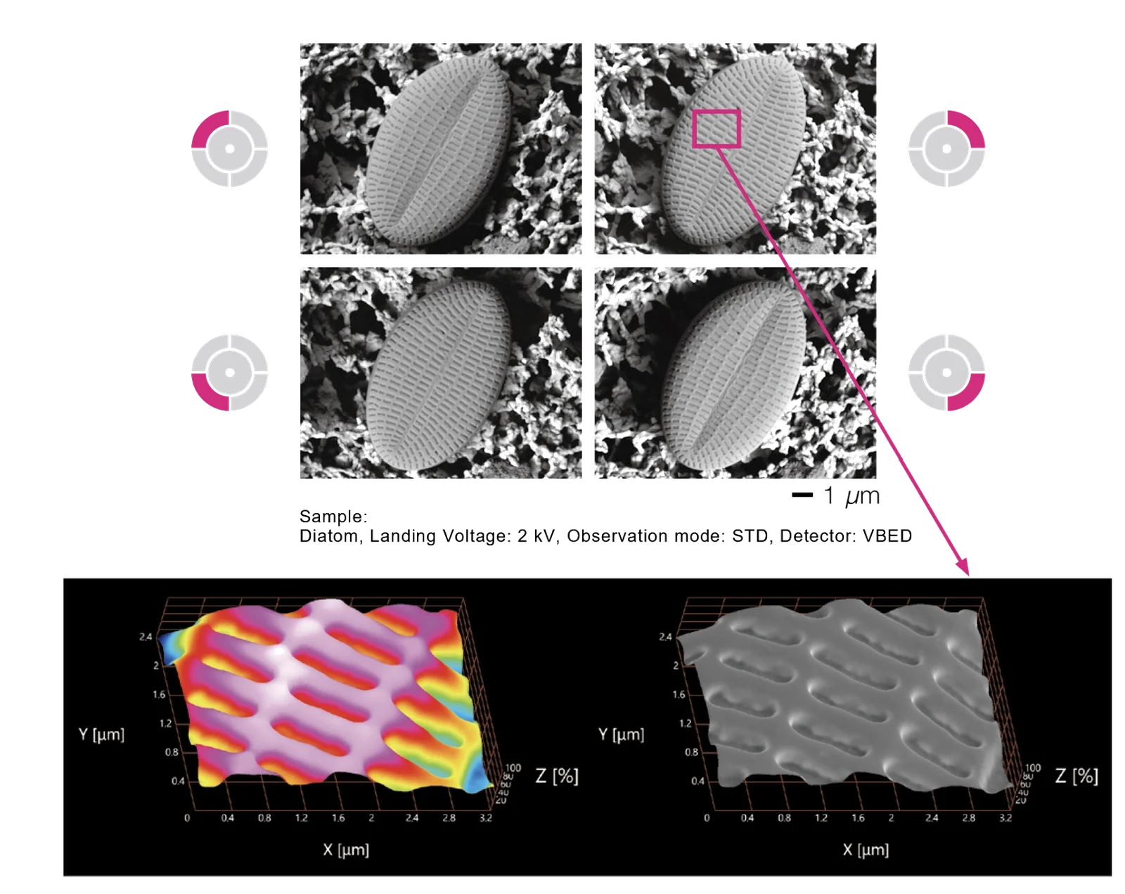 Live 3D reconstruction of the sample surface: View the 3D image in real-time to check the sample topology