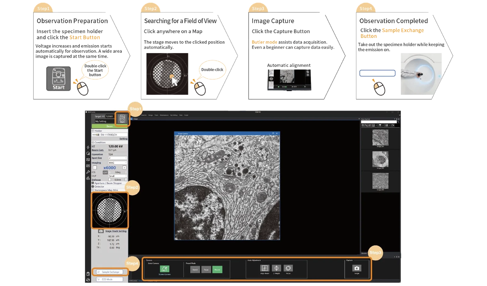 Specimen observation in 4 steps