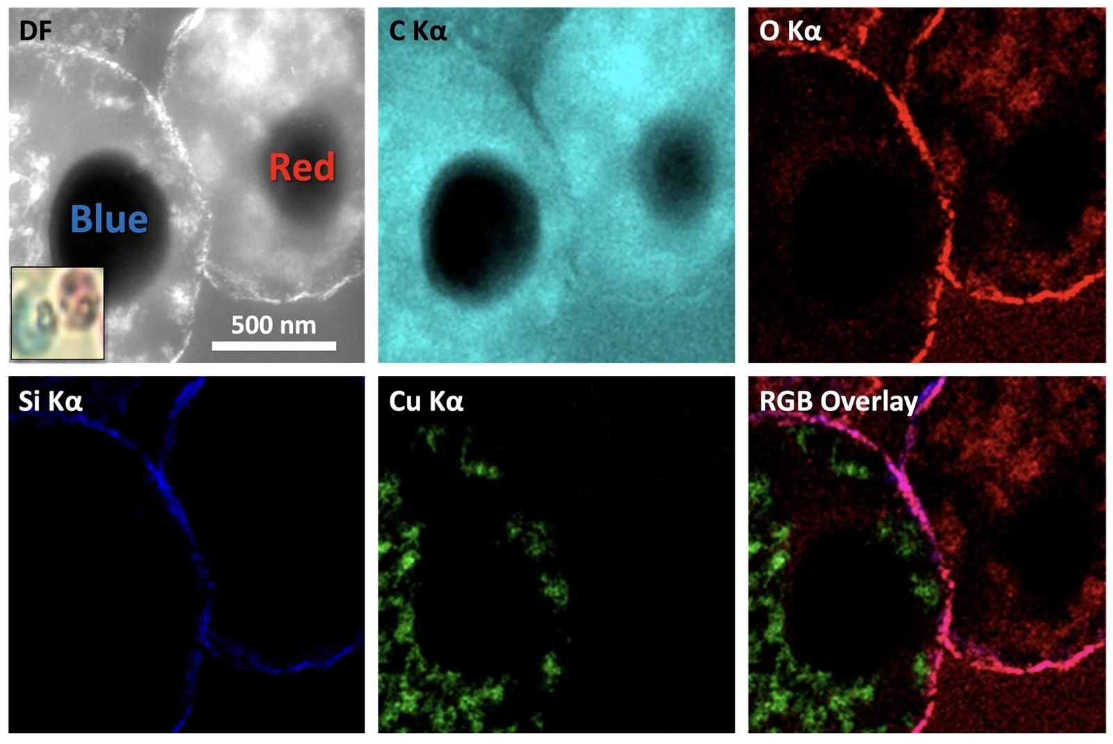 EDS analysis: Toner particles (Blue / Red)