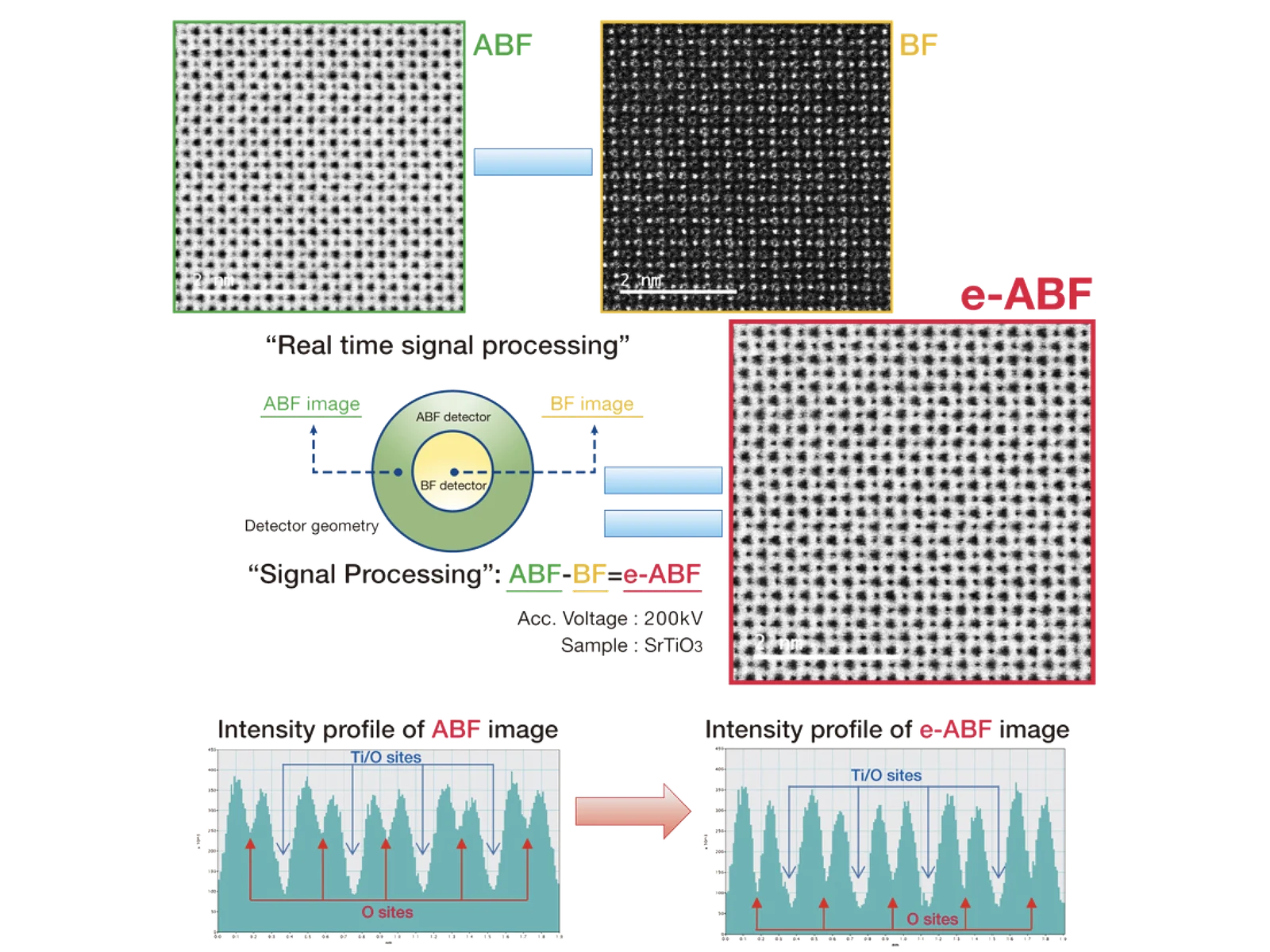 New ABF Detector System (Reference: S.D. Findlay, Y.Kohno, L.A. Cardamone, Y.Ikuhara, N.Shibata, Ultramicroscopy 136 (2014)31-41.)