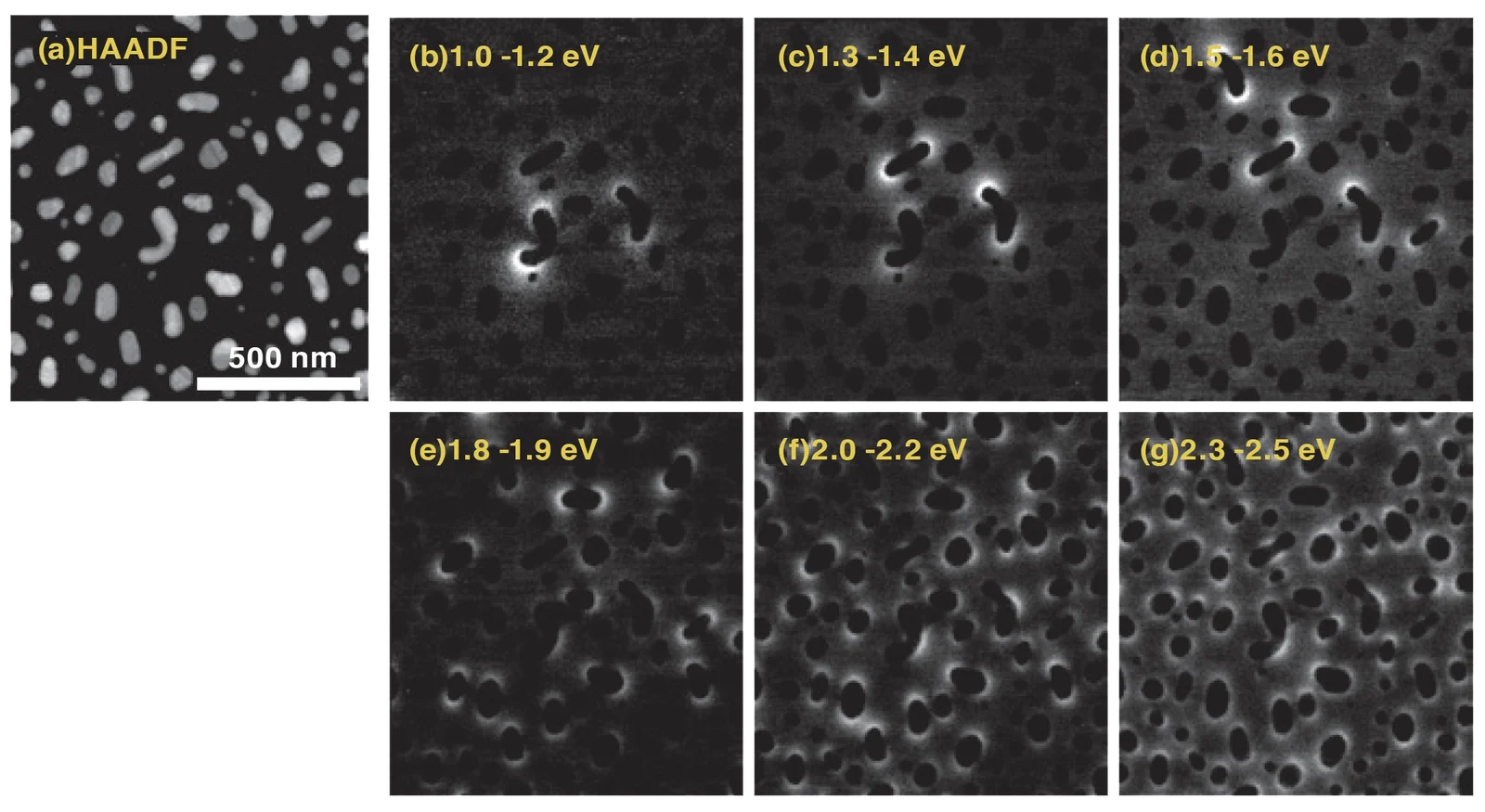 Wide Field STEM-EELS spectra - Specimen: Ag nanoparticles (courtesy of Dr. T. Sannomiya, Tokyo Institute of Technology)