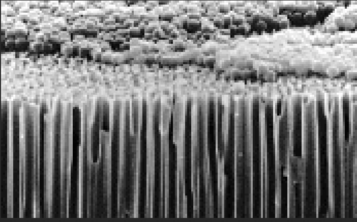 SPI Supplies ANOPORE Inorganic Aluminum Oxide Membranes — Filtration Membranes