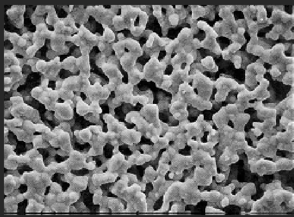 SPI Supplies SPI-Pore Silver Membrane Filters — Filtration Membranes